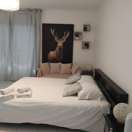 Chaleureux Studio Toulouse Bagian luar foto