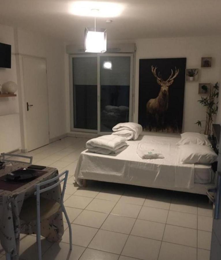 Chaleureux Studio Toulouse Bagian luar foto