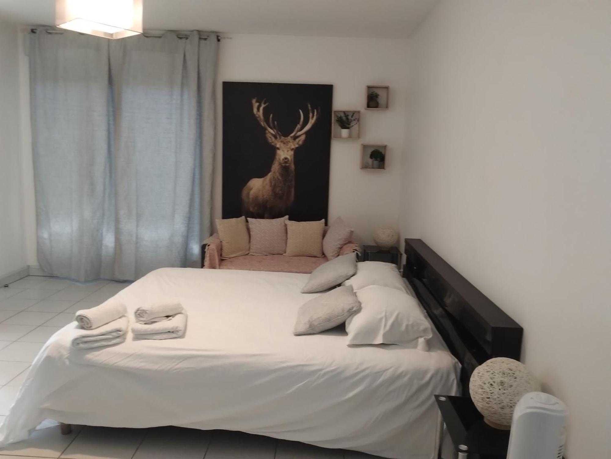 Chaleureux Studio Toulouse Bagian luar foto