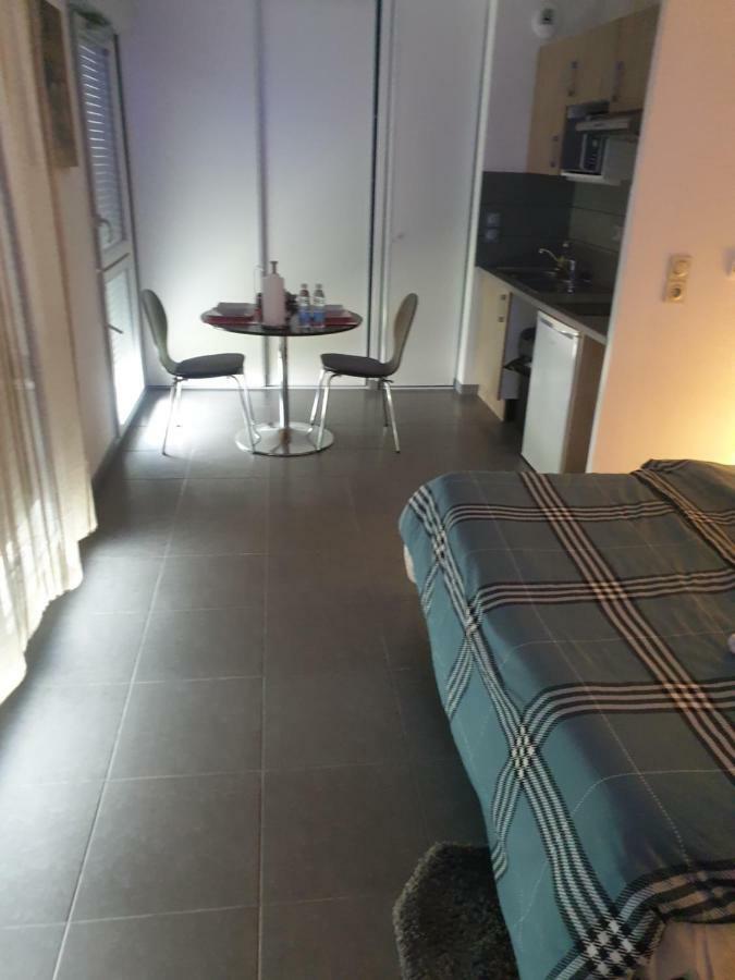 Chaleureux Studio Toulouse Bagian luar foto